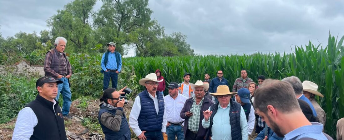 Hidalgo lidera tecnificación del campo en México