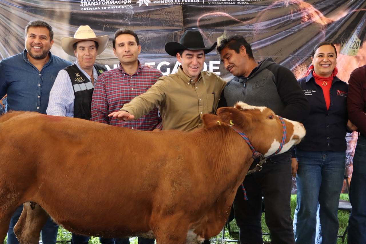Entregan terneras y vientres ovinos para 12 municipios