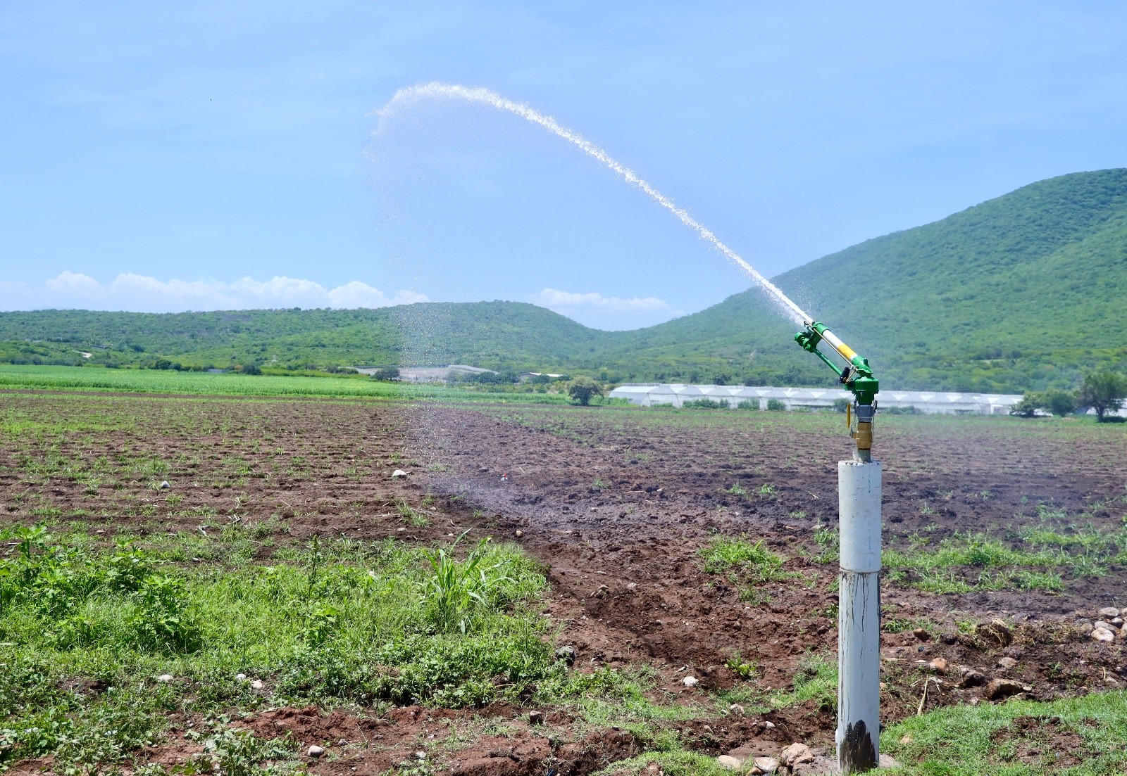 El Gobierno de México impulsa el desarrollo sustentable del campo morelense para producir más alimentos con menos agua