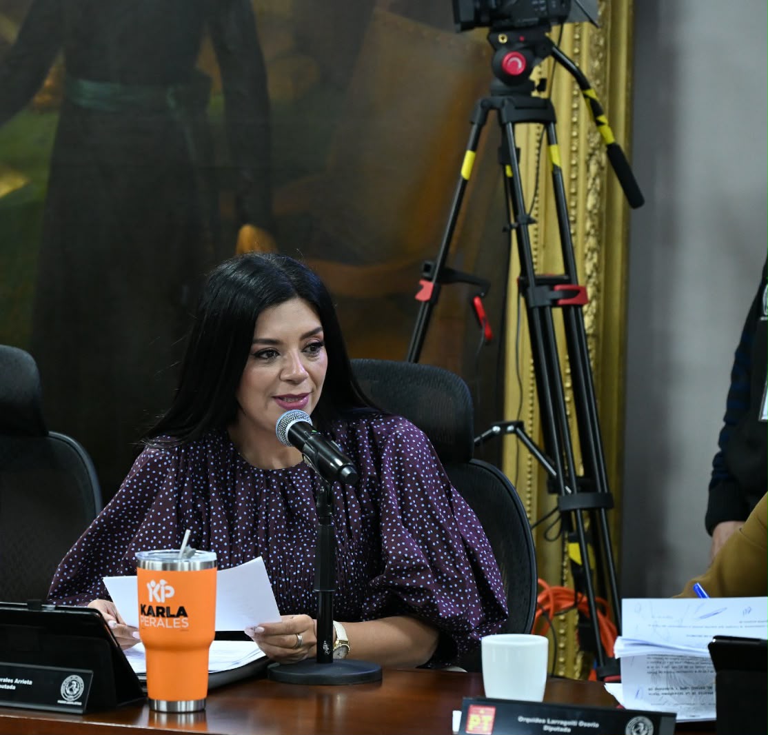 APRUEBAN EXHORTO PARA FORTALECER LA ATENCIÓN A NIÑAS Y ADOLESCENTES EMBARAZADAS: KARLA PERALES