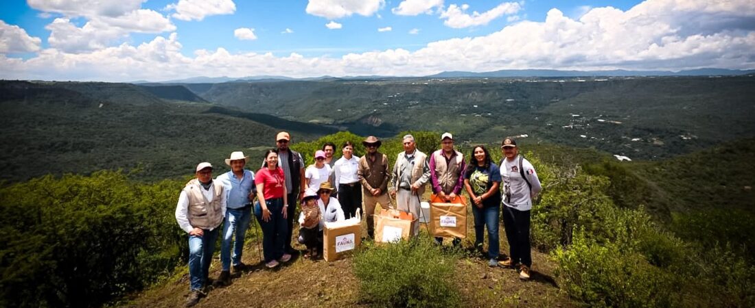 Pachuca suma 105 ejemplares de fauna silvestre rehabilitados y reintegrados a su hábitat en 2026