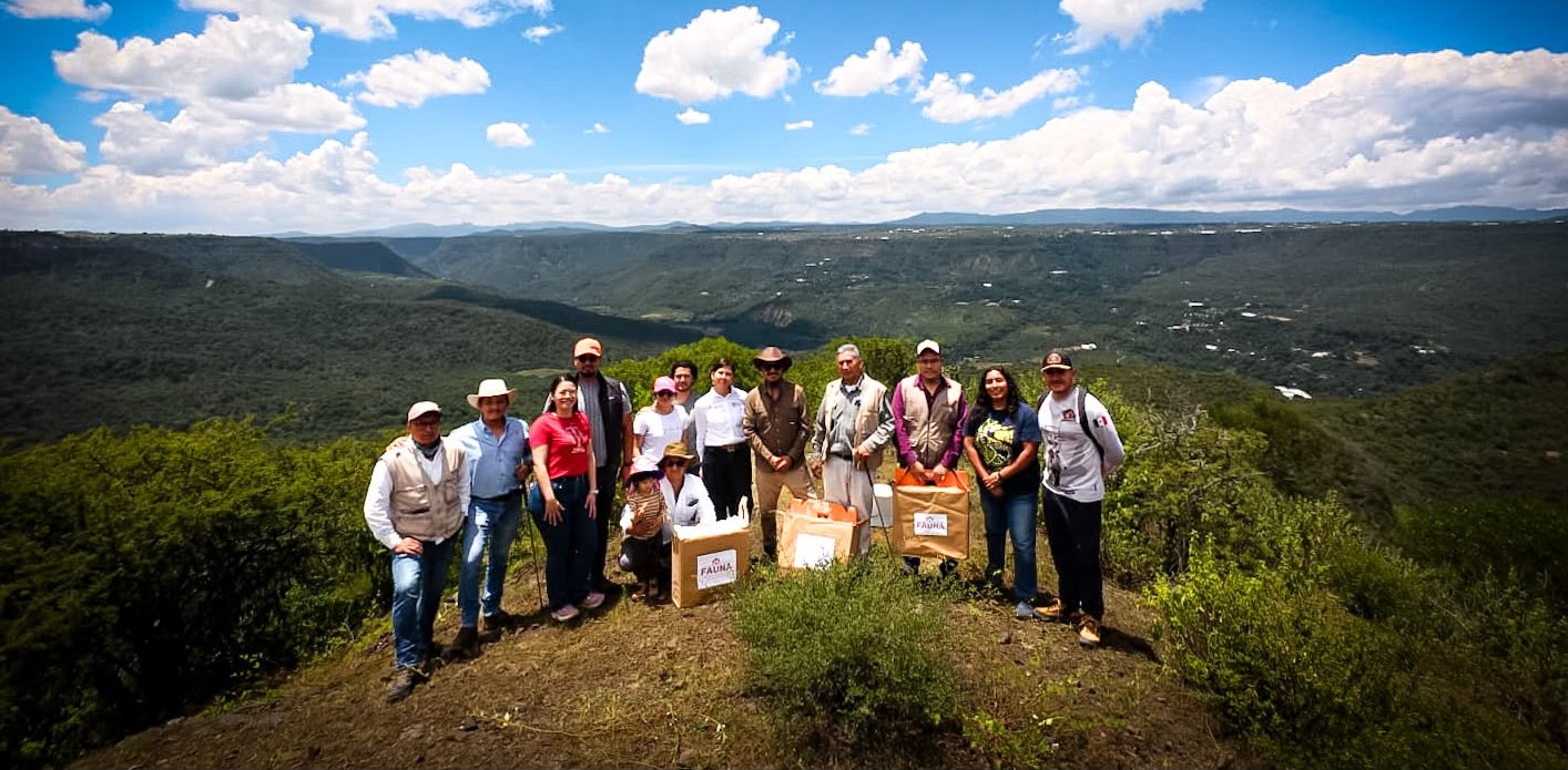 Pachuca suma 105 ejemplares de fauna silvestre rehabilitados y reintegrados a su hábitat en 2026