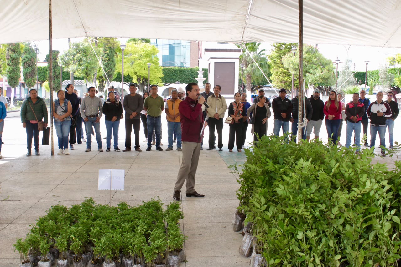 IMPULSA MIXQUIAHUALA JORNADA DE REFORESTACIÓN CON 73 MIL PLANTAS Y ÁRBOLES