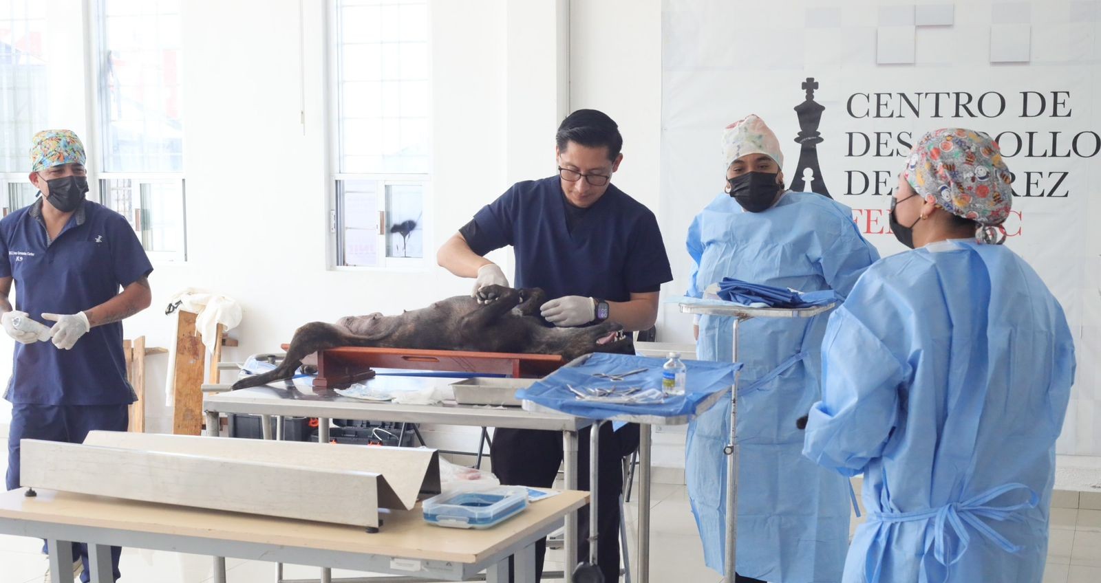 CON RESULTADOS, MINERAL DE LA REFORMA FORTALECE SU POLÍTICA DE BIENESTAR ANIMAL