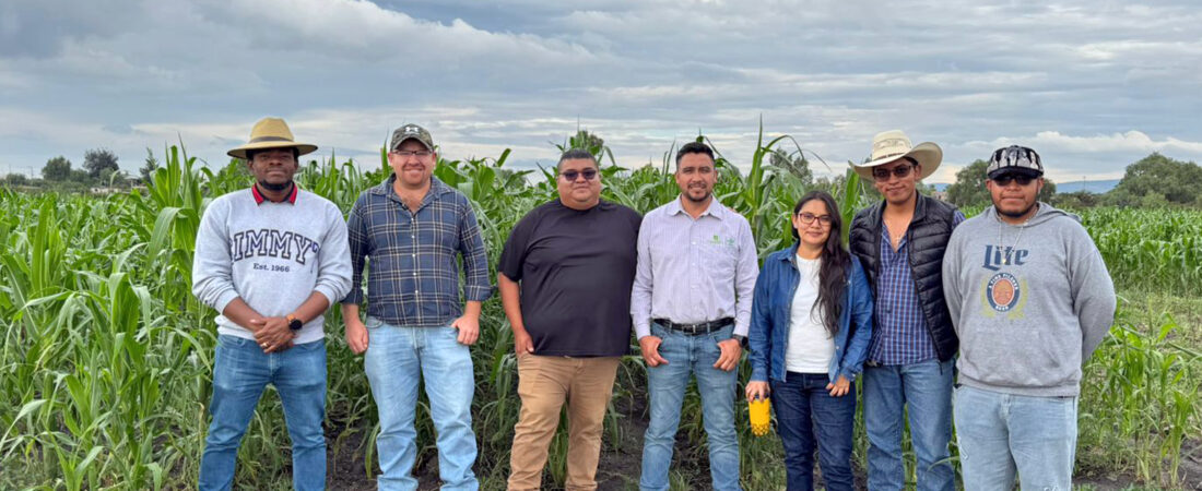 ITESHU y CIMMYT desarrollan alternativas para mejorar la producción agrícola