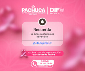 DIF-OCTUBREROSA-BOXBANNER-A