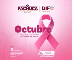 DIF-OCTUBREROSA-BOXBANNER-B