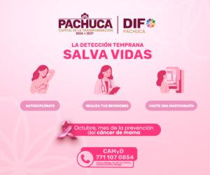 DIF-OCTUBREROSA-BOXBANNER-C