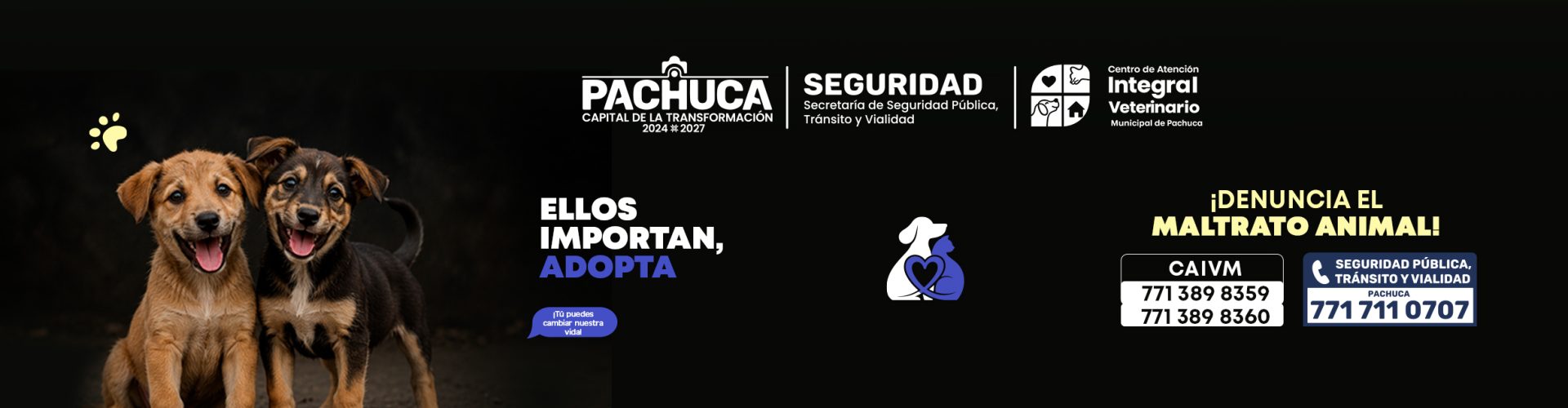 SSP-CAMP-ANIMALESCOMPANIA-ADOPTA-MEGABANNER